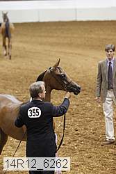 14r12_6262 proof