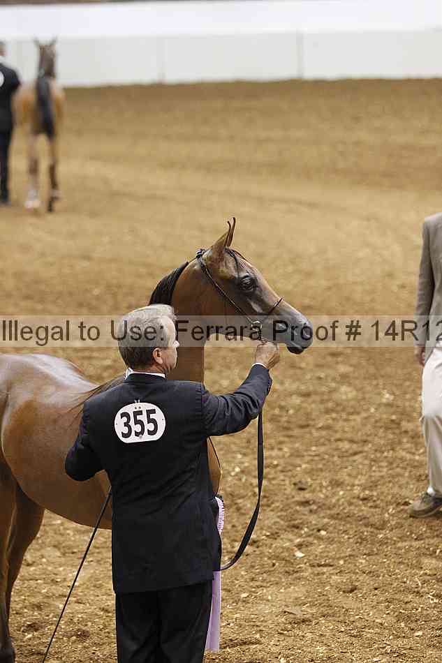 Proof 14r12_6263