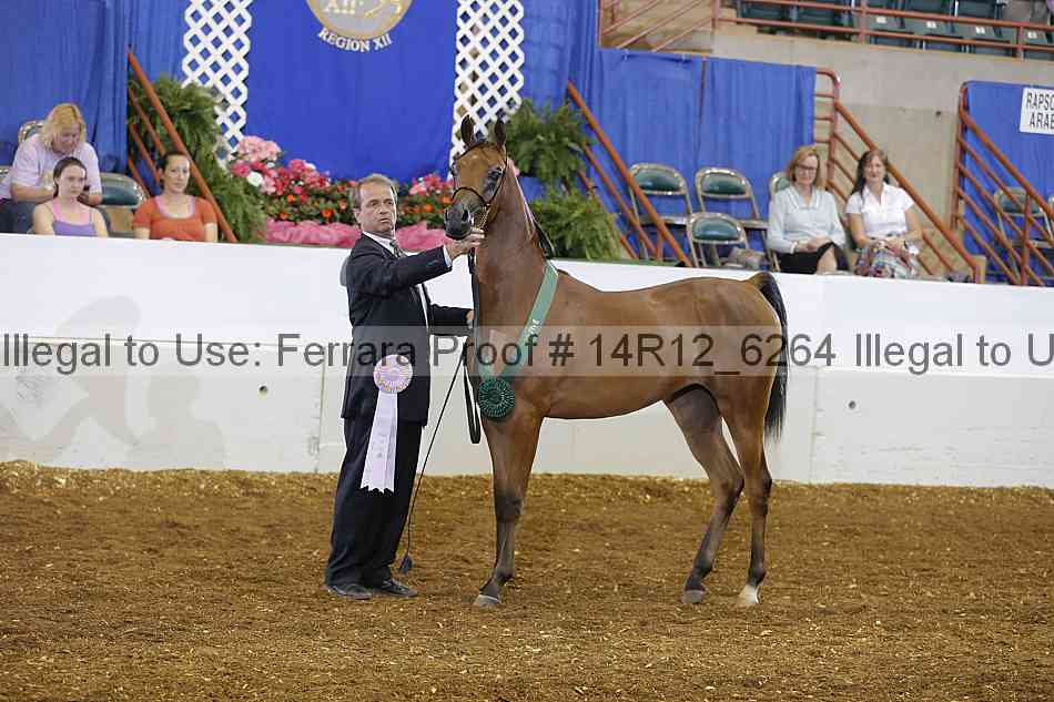 Proof 14r12_6264