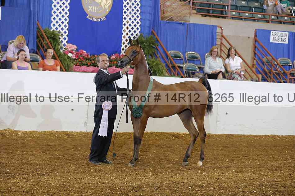 Proof 14r12_6265