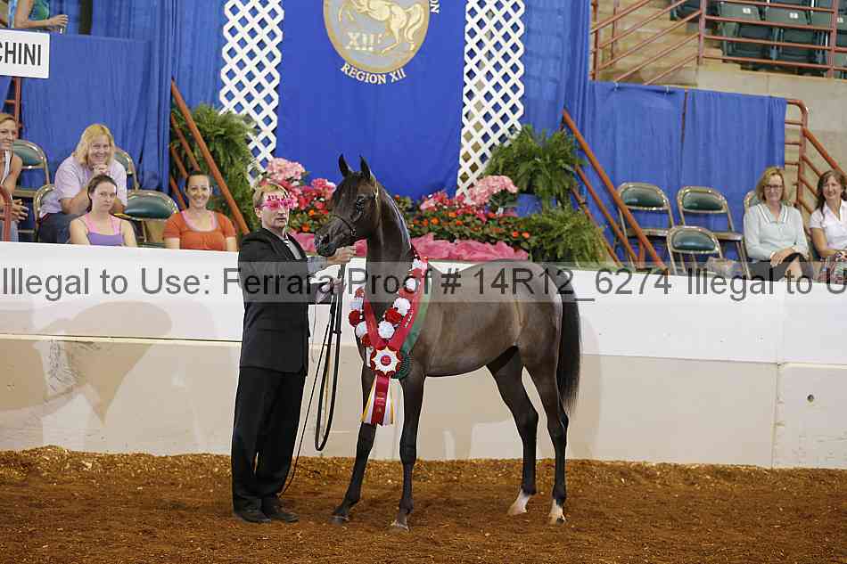 Proof 14r12_6274