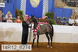 14r12_6274 proof