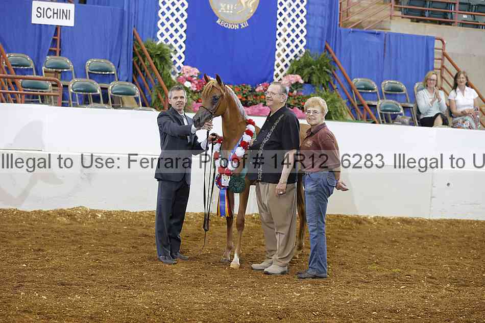 Proof 14r12_6283