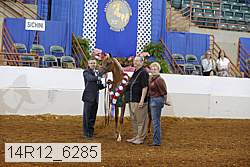 14r12_6285 proof