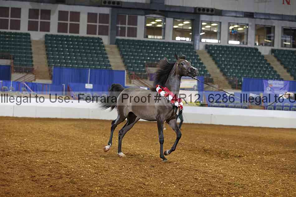 Proof 14r12_6286
