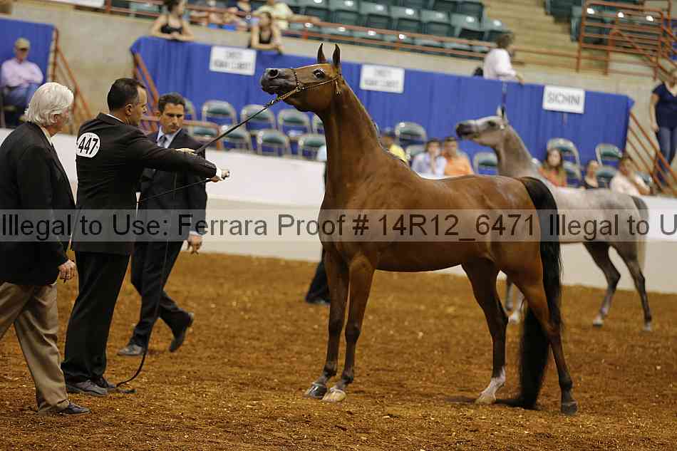 Proof 14r12_6471