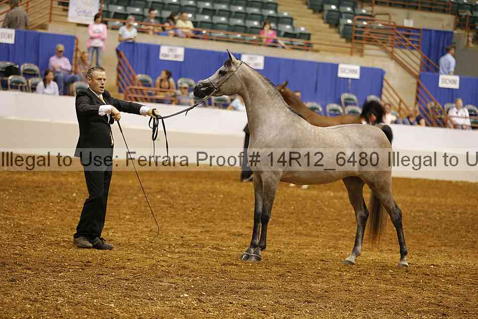 Proof 14r12_6480