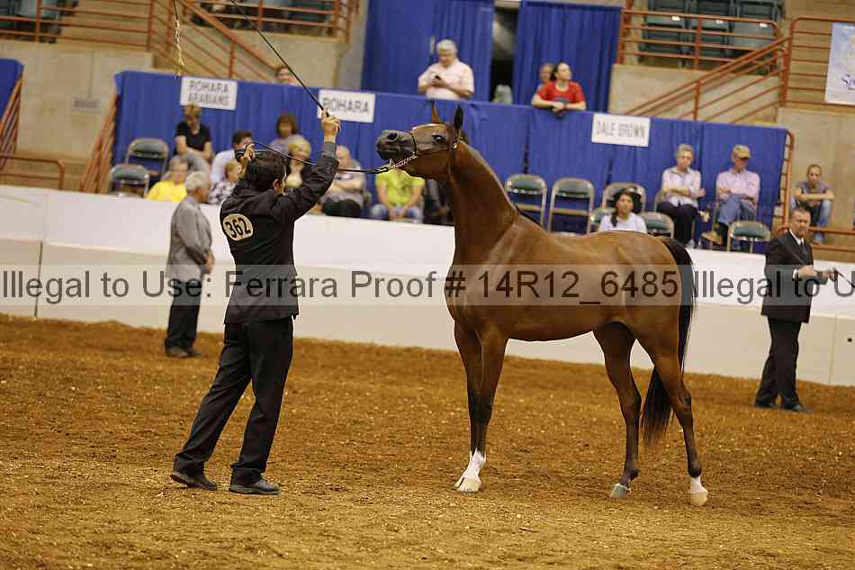 Proof 14r12_6485