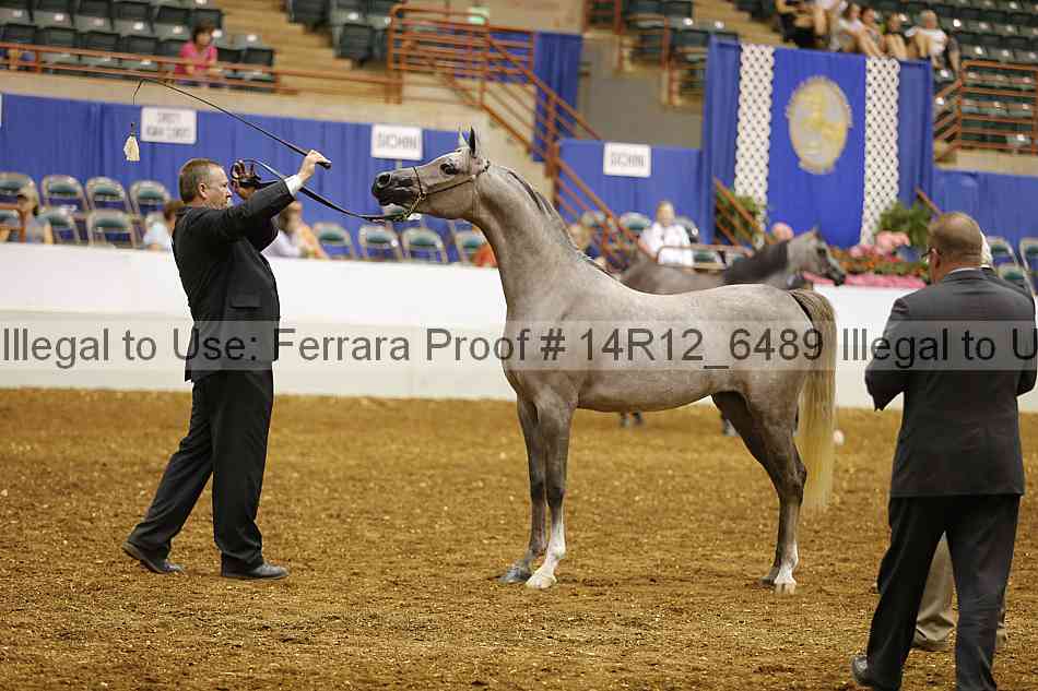 Proof 14r12_6489