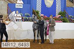14r12_6493 proof