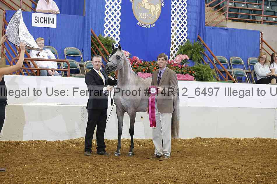 Proof 14r12_6497