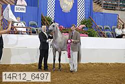 14r12_6497 proof