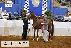 14r12_6501 proof