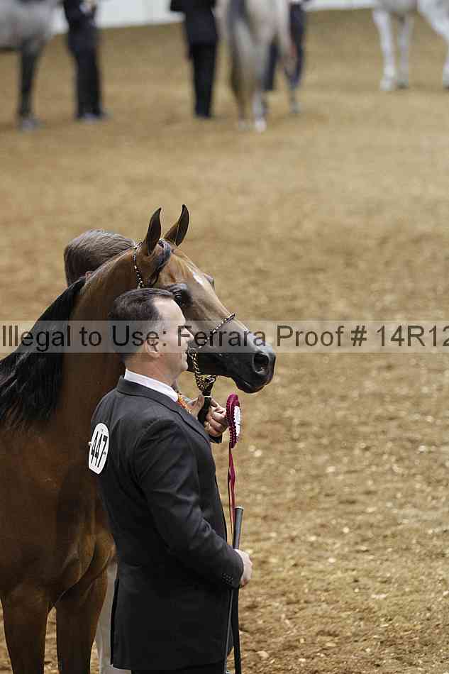 Proof 14r12_6502