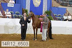 14r12_6503 proof
