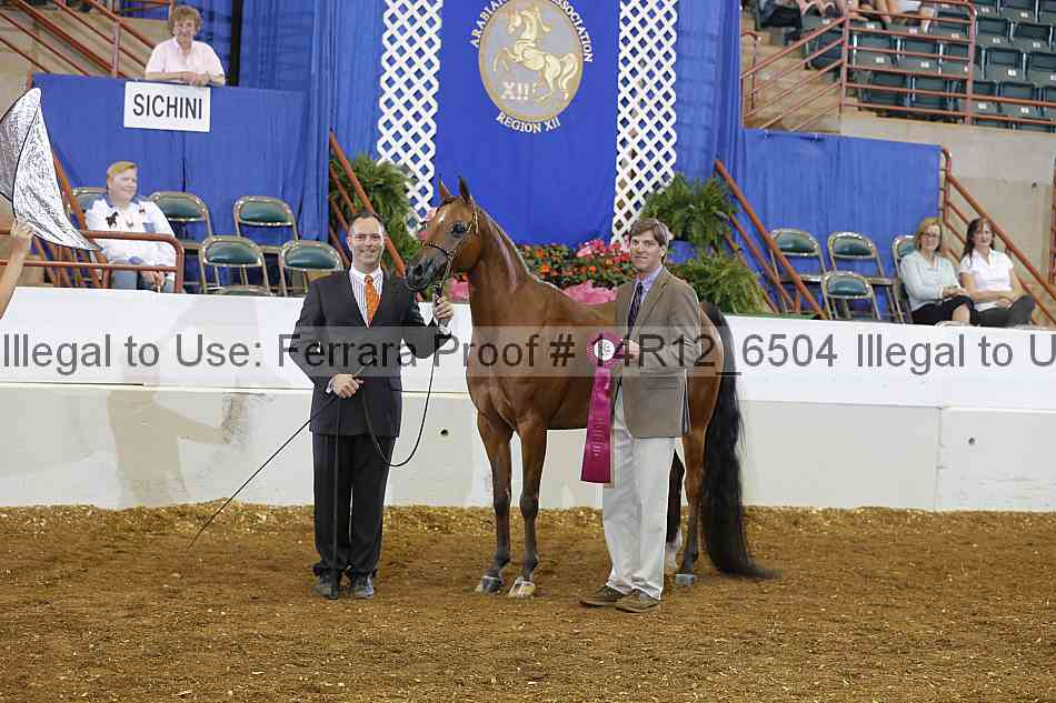 Proof 14r12_6504