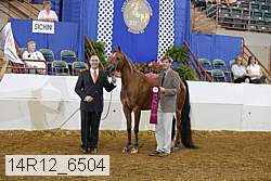 14r12_6504 proof