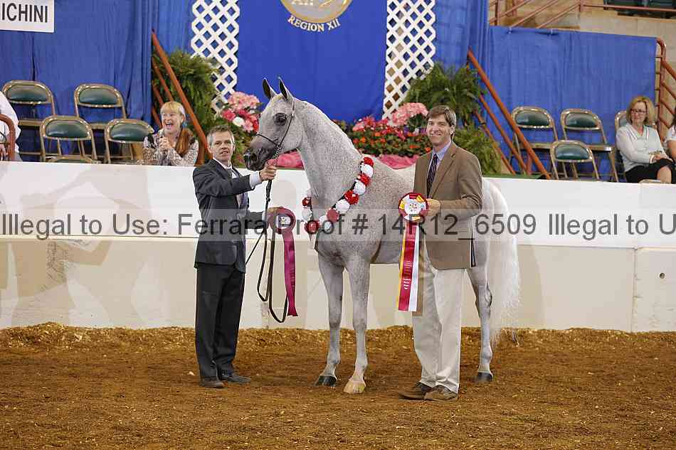 Proof 14r12_6509
