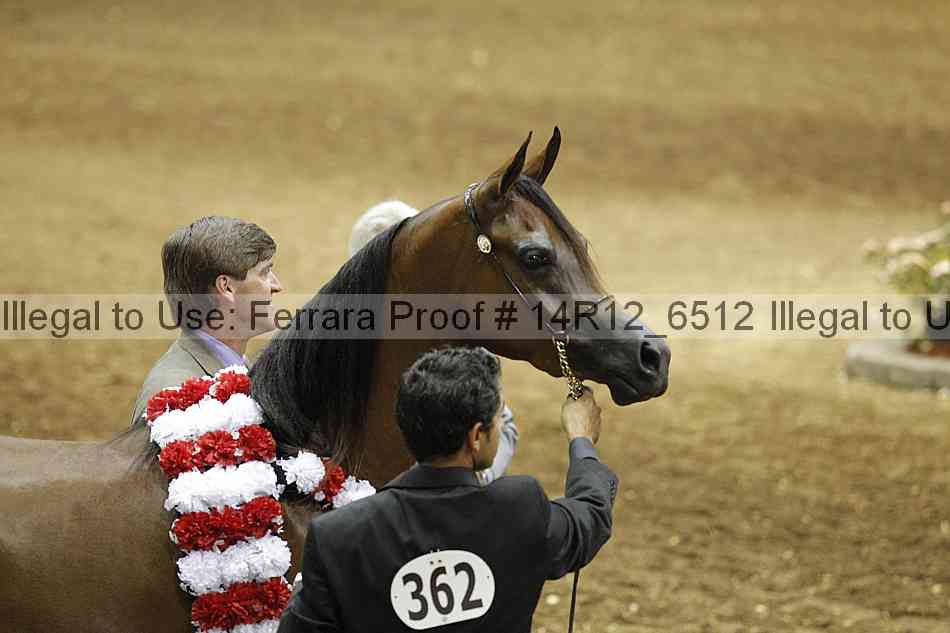 Proof 14r12_6512