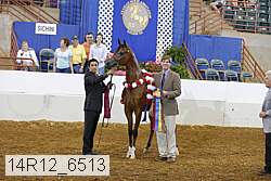 14r12_6513 proof