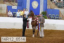 14r12_6514 proof