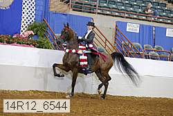 14r12_6544 proof