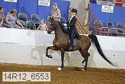 14r12_6553 proof
