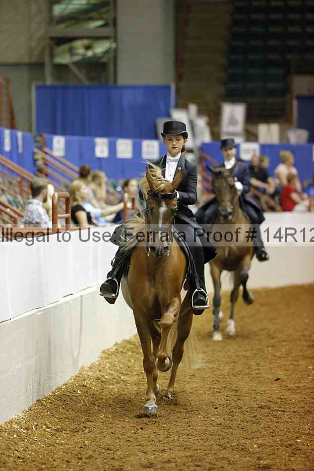Proof 14r12_6563