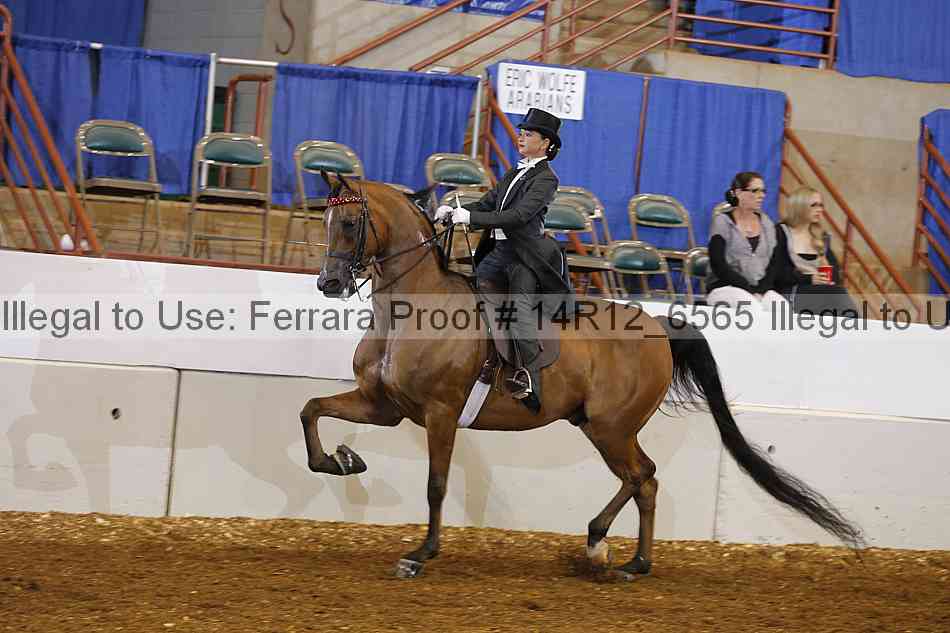 Proof 14r12_6565