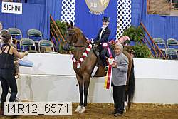 14r12_6571 proof