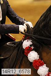 14r12_6578 proof