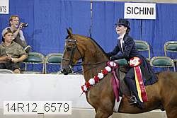 14r12_6579 proof