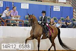 14r12_6583 proof