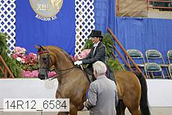 14r12_6584 proof