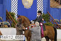 14r12_6586 proof