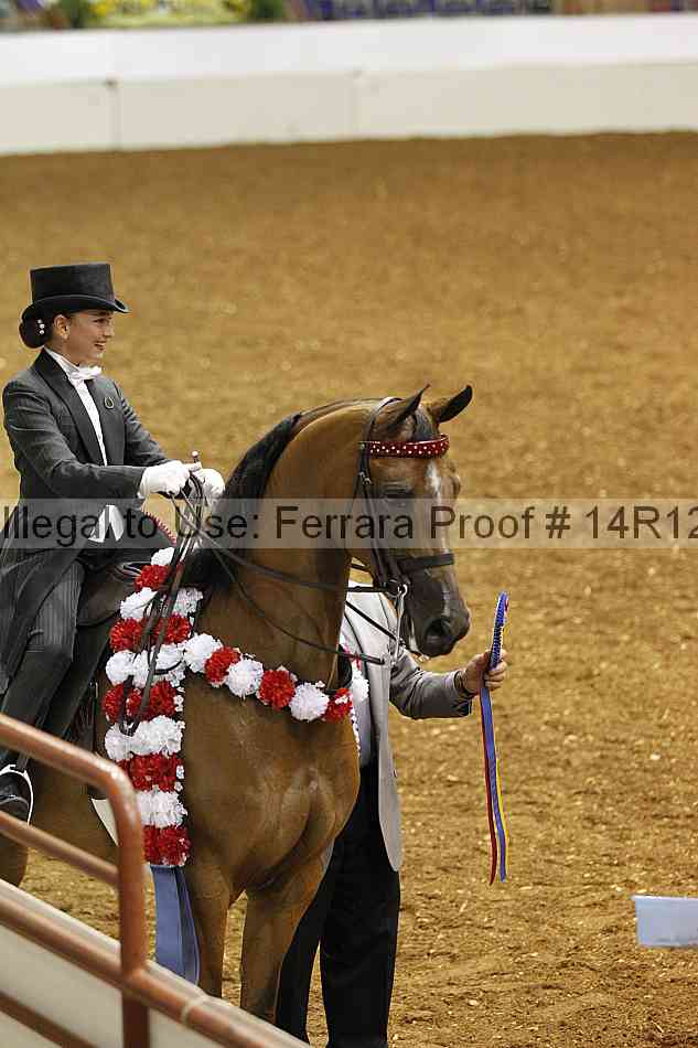 Proof 14r12_6587