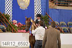 14r12_6592 proof