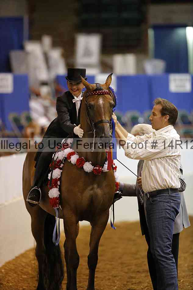 Proof 14r12_6594