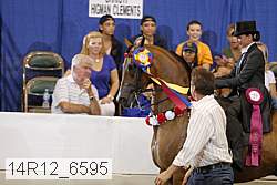 14r12_6595 proof