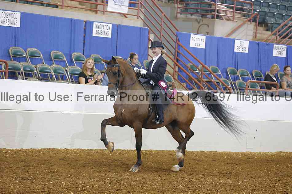 Proof 14r12_6597