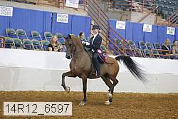 14r12_6597 proof