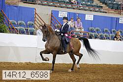 14r12_6598 proof