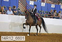14r12_6601 proof