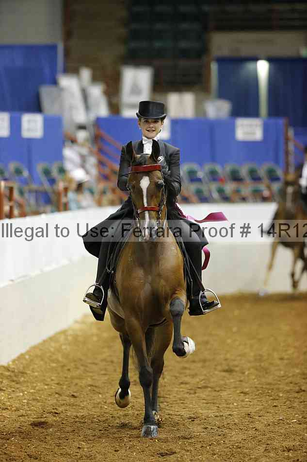 Proof 14r12_6607