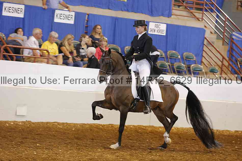 Proof 14r12_6629