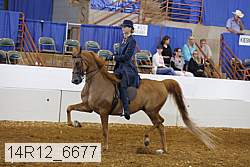 14r12_6677 proof