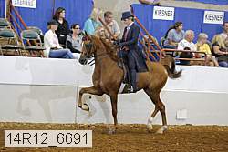 14r12_6691 proof