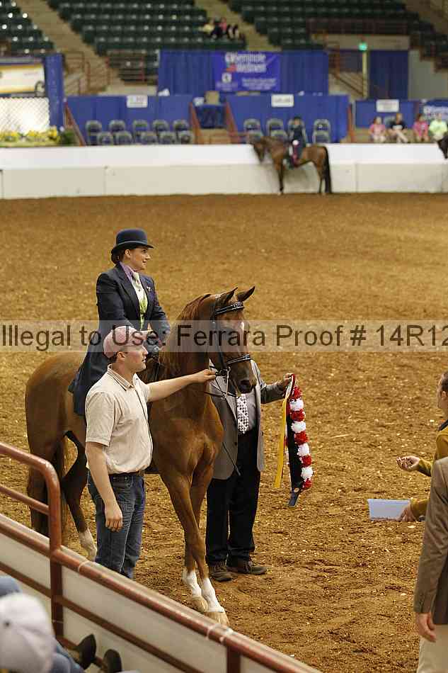 Proof 14r12_6702
