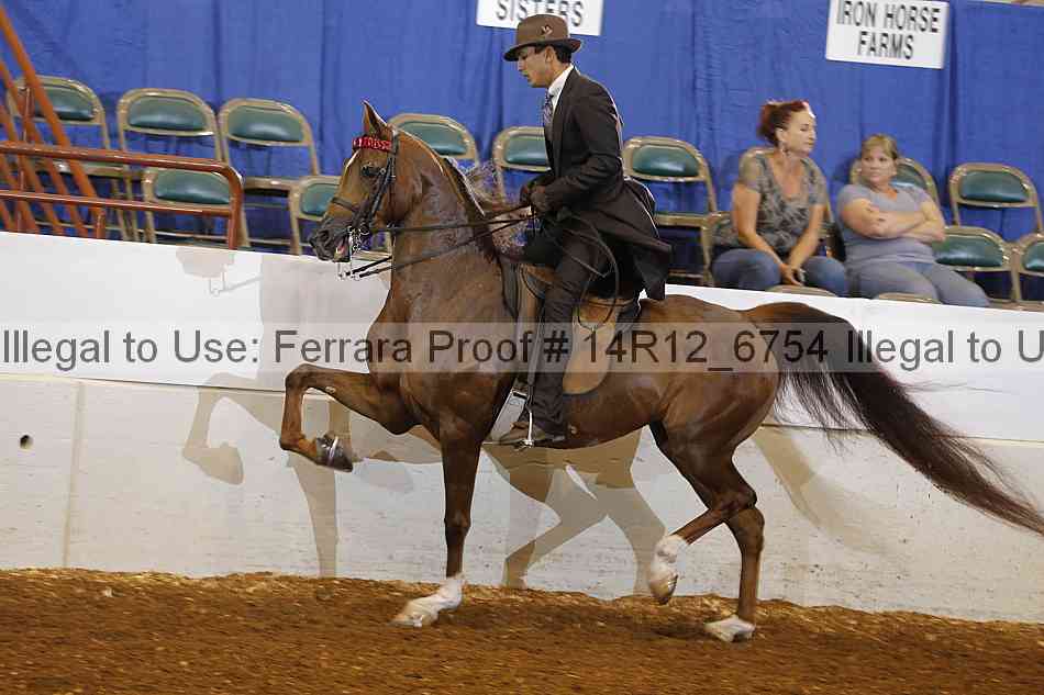 Proof 14r12_6754
