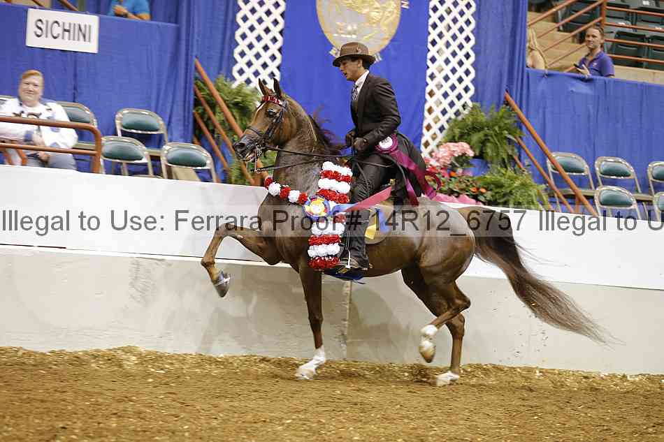 Proof 14r12_6757